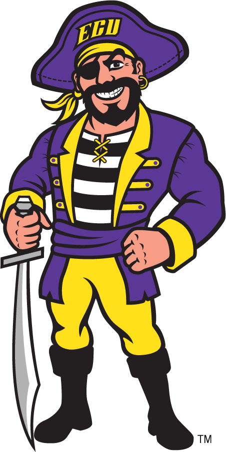 East Carolina Pirates 2008-2009 Mascot Logo diy iron on heat transfer